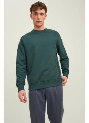 Mikroskopas žalias JACK & JONES vyras