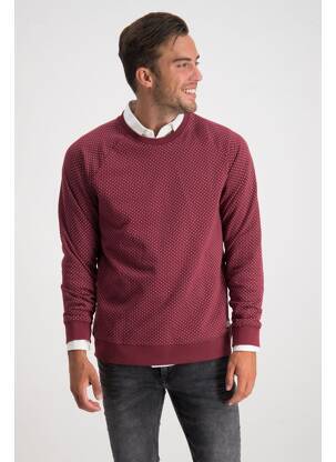 Mikroskopas pilka ONLY&SONS vyras