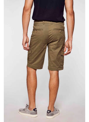 Bermudas žalias PRIVATE BLUE vyras