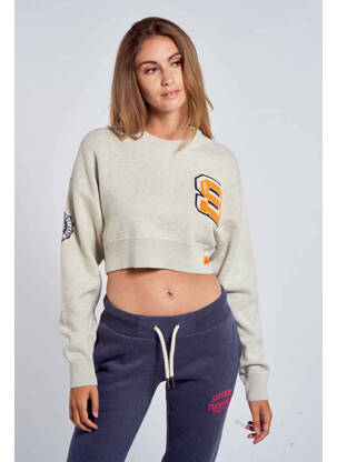 Megztinis pilka SUPERDRY moteris