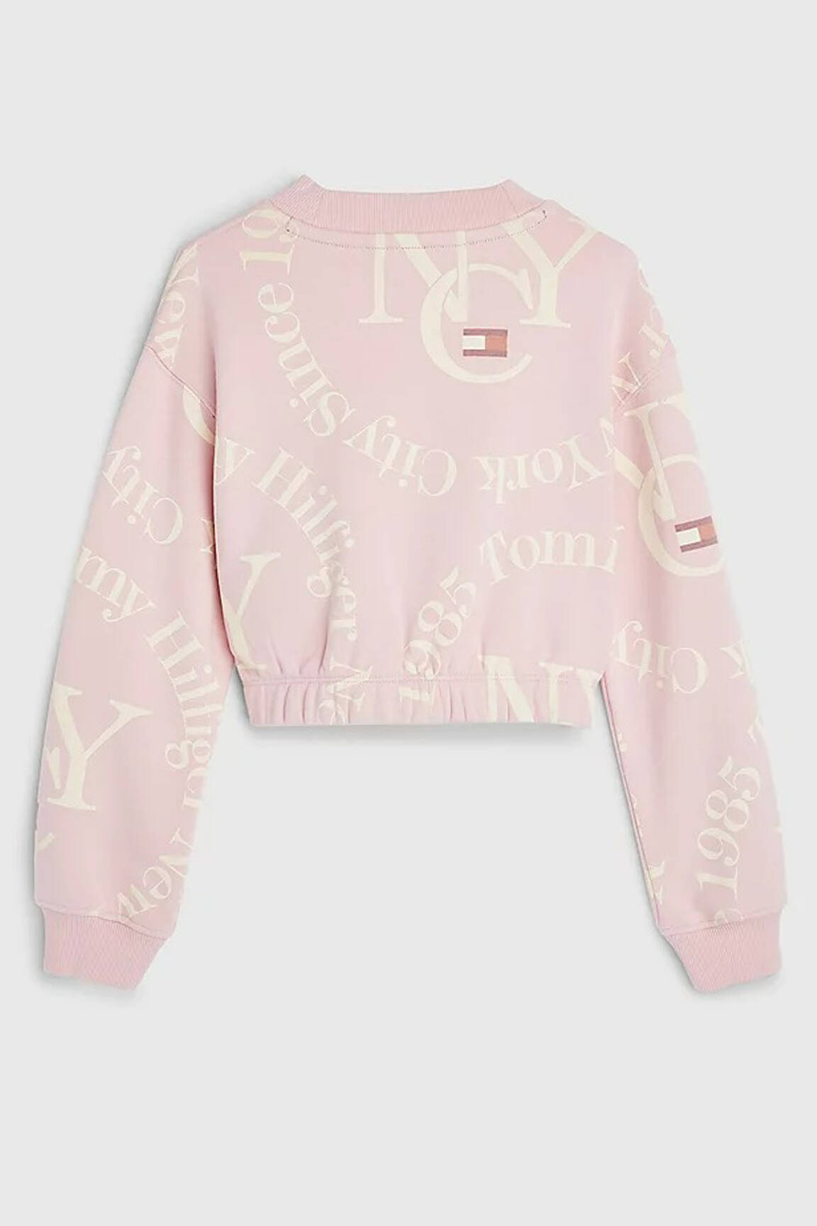 Mikroskopas rožinė TOMMY HILFIGER mergina