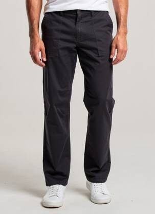 Chino kelnė kišenės normala dydis pilka IRON AND RESIN vyras