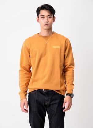 Mikroskopas floqué serigrafija ilgos rankovės rudas QUIKSILVER vyras