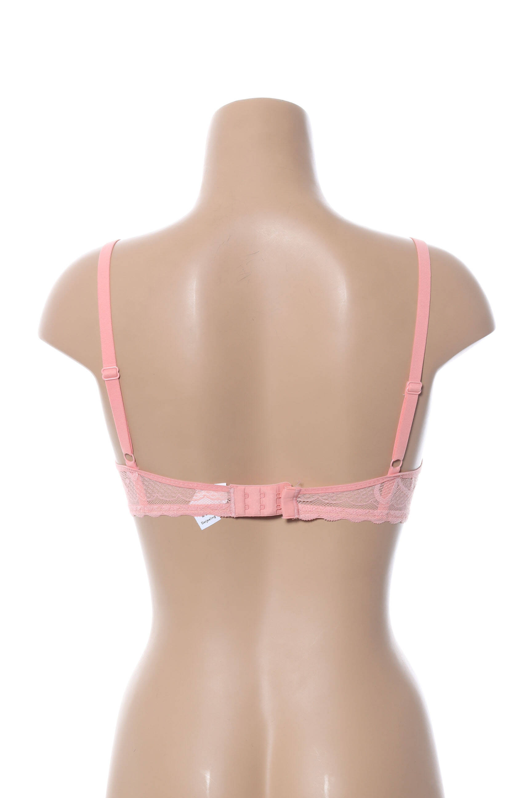 Liemenėlė push-up liemenėlė su aukštu palaikymu push-up liemenėlė su aukštu palaikymu rožinė DARJEELING moteris