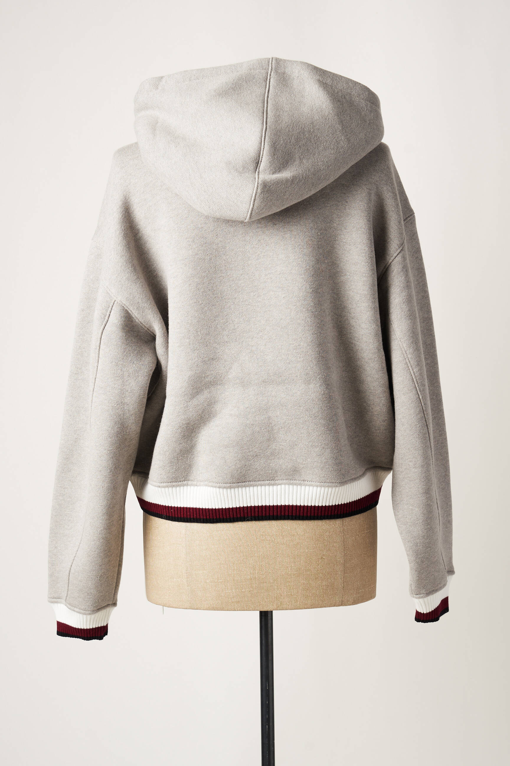 Kapišonas pilka ALEXANDER WANG moteris