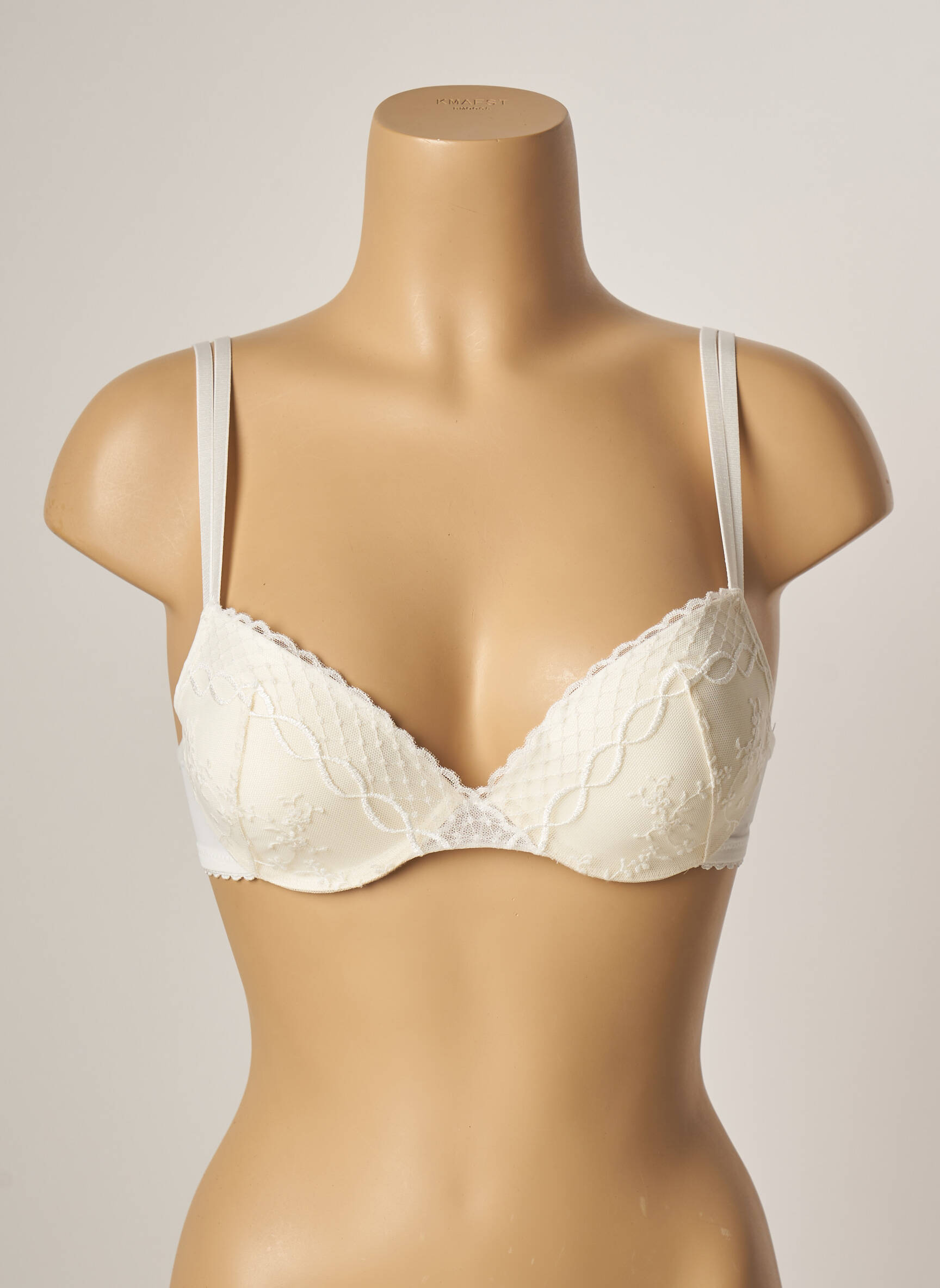 Liemenėlė push-up liemenėlė su aukštu palaikymu push-up liemenėlė su aukštu palaikymu bežinis PASSIONATA moteris
