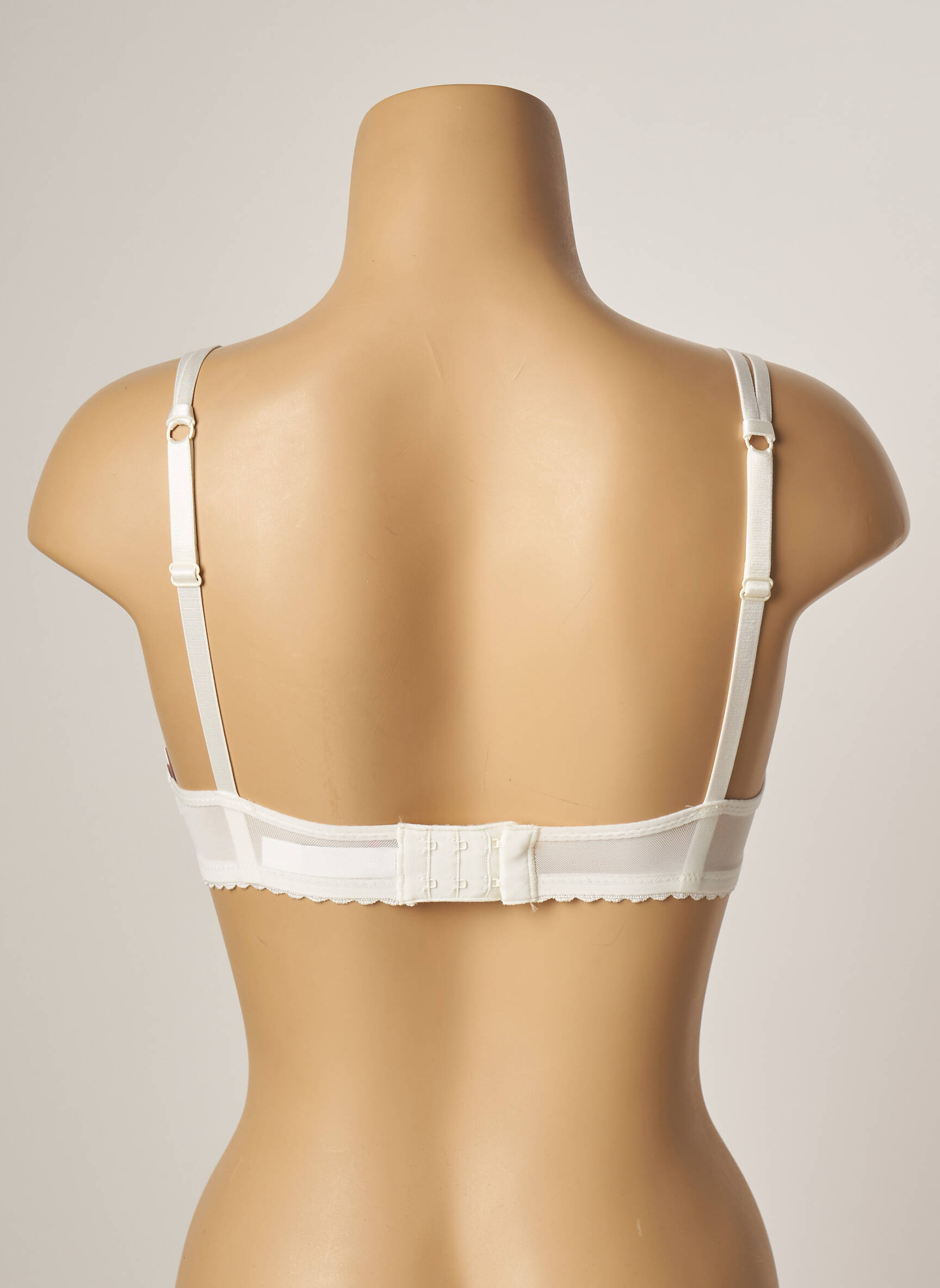 Liemenėlė push-up liemenėlė su aukštu palaikymu push-up liemenėlė su aukštu palaikymu bežinis PASSIONATA moteris