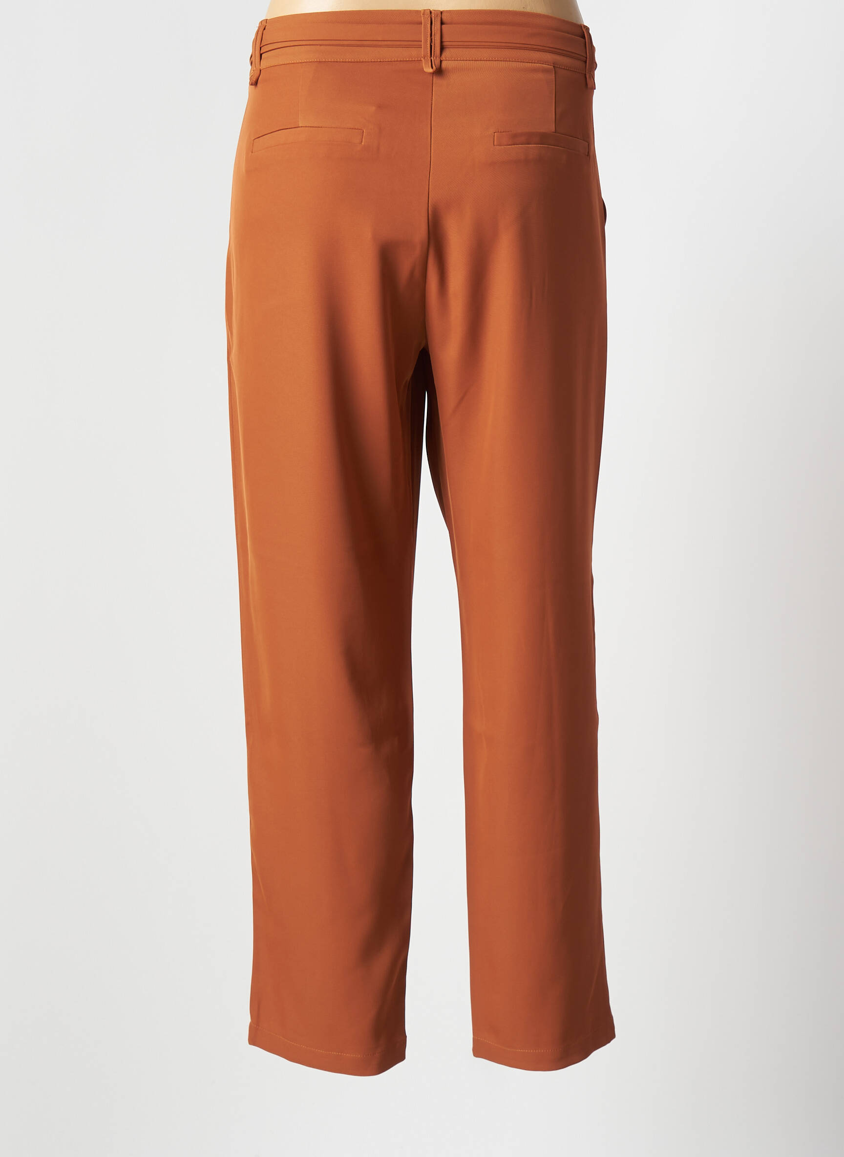 Chino kelnė normala dydis normala dydis rudas ROSE moteris