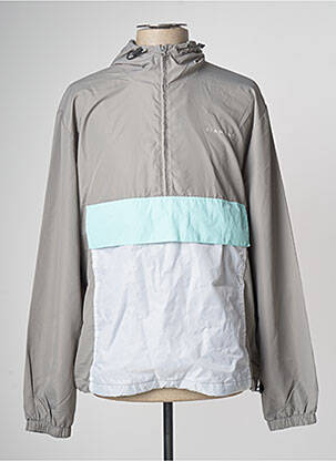 Vėjo nepraleidėjas pilka DIAMOND SUPPLY CO vyras