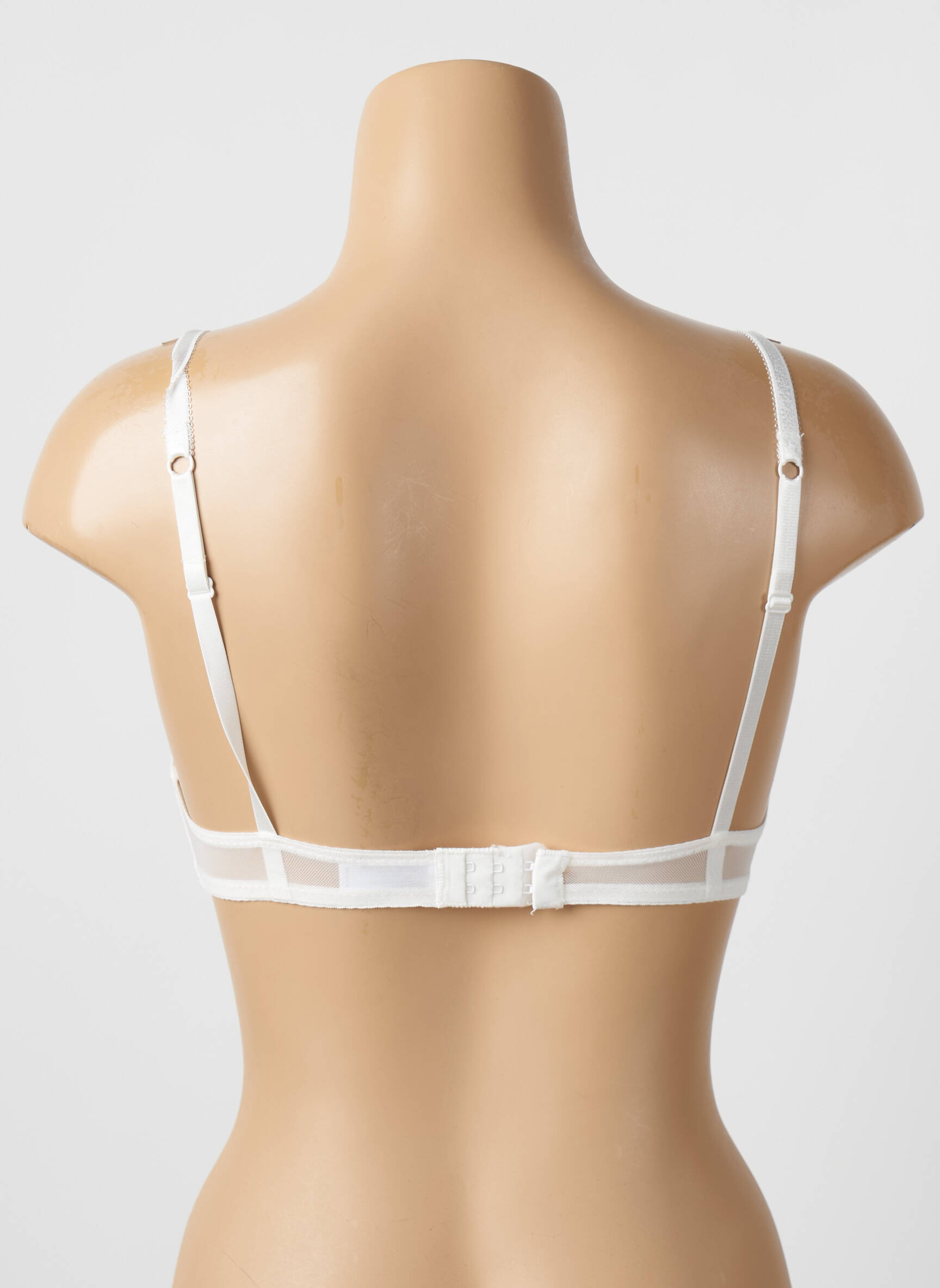 Liemenėlė push-up liemenėlė su aukštu palaikymu push-up liemenėlė su aukštu palaikymu bežinis STEFFY moteris