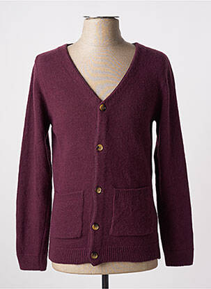 Ilgų rankovių liemenė col v violetinis KNOWLEDGE COTTON APPAREL vyras