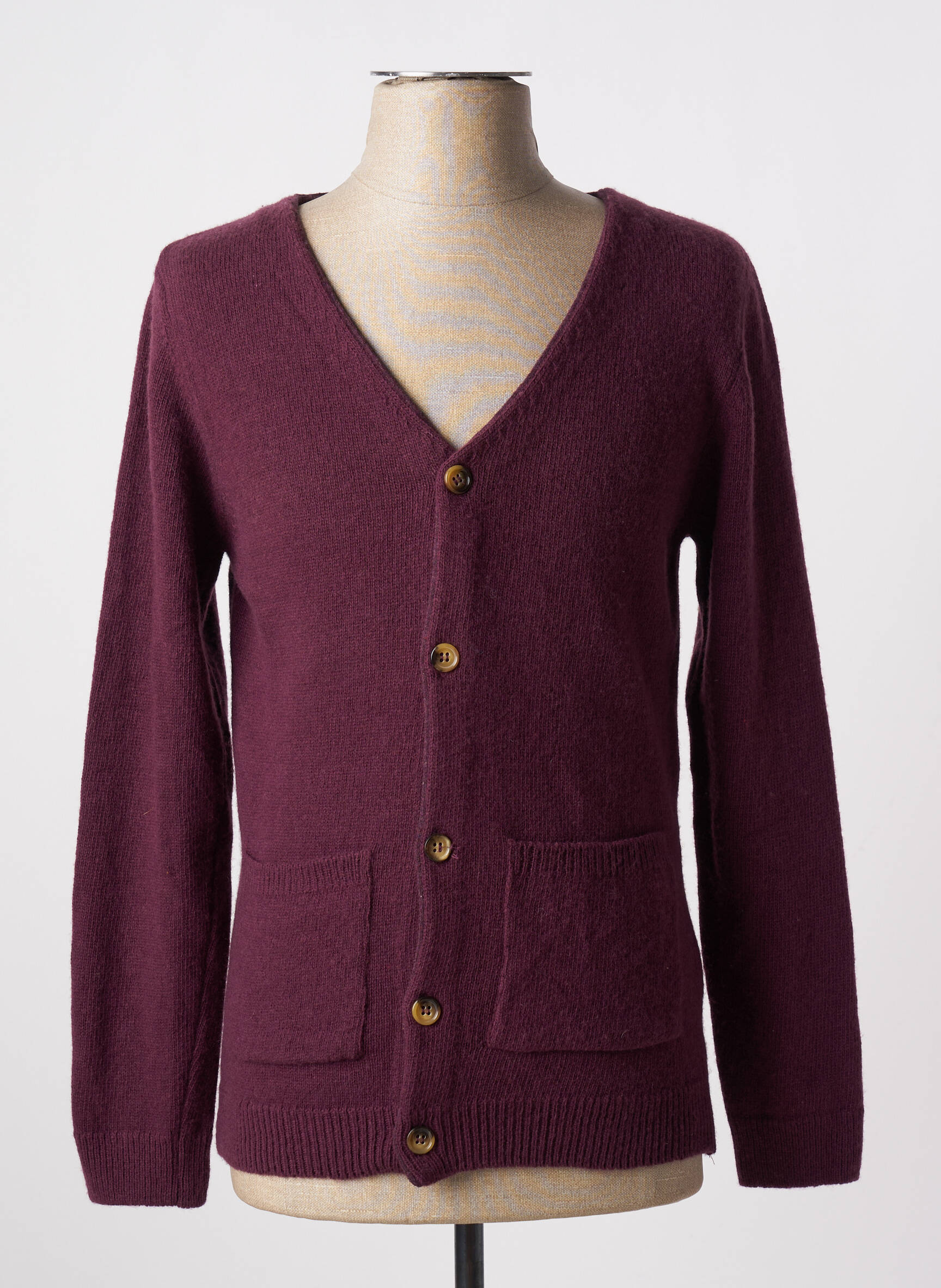 Ilgų rankovių liemenė col v violetinis KNOWLEDGE COTTON APPAREL vyras