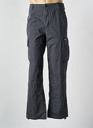 Kargo kelnė pilka DICKIES vyras