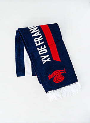 Šalikas tamprumas mėlyna LE COQ SPORTIF vyras