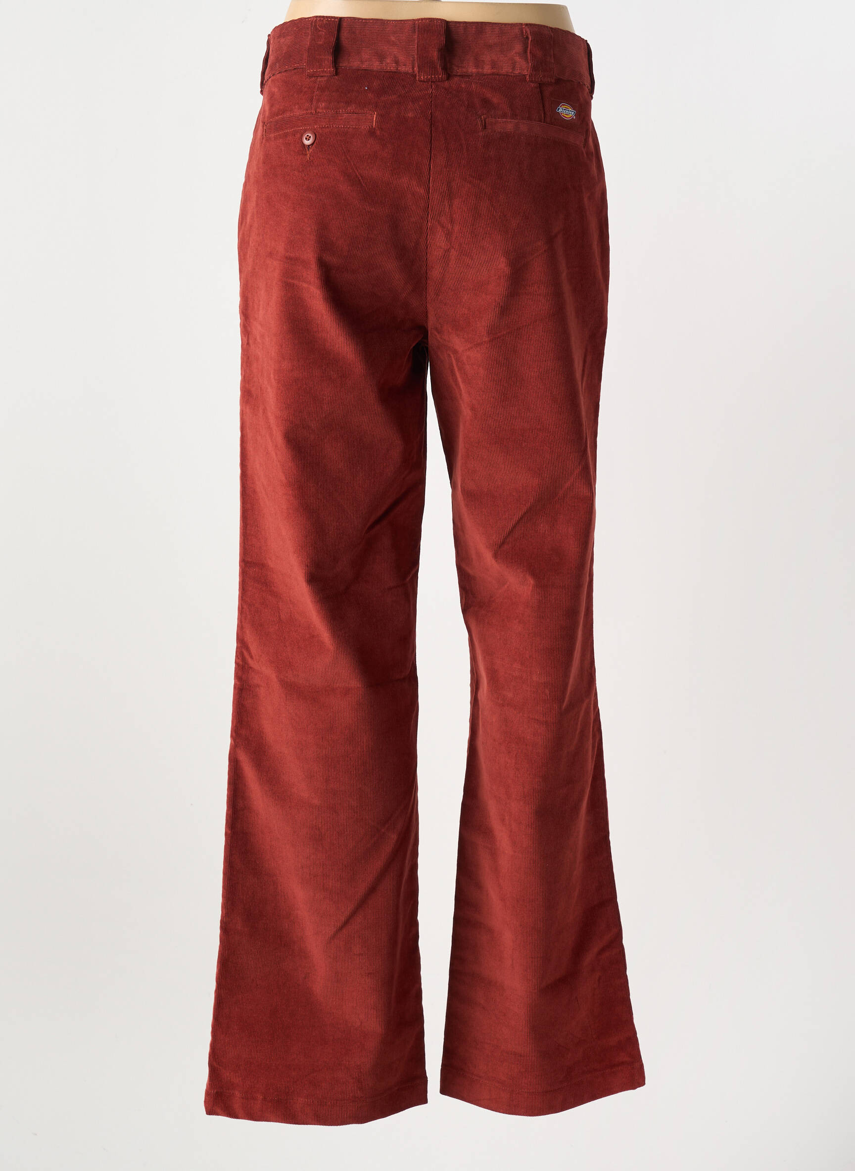 Tiesi kelnė užtrauktukas po atvartu su kabliu oranžinė DICKIES vyras