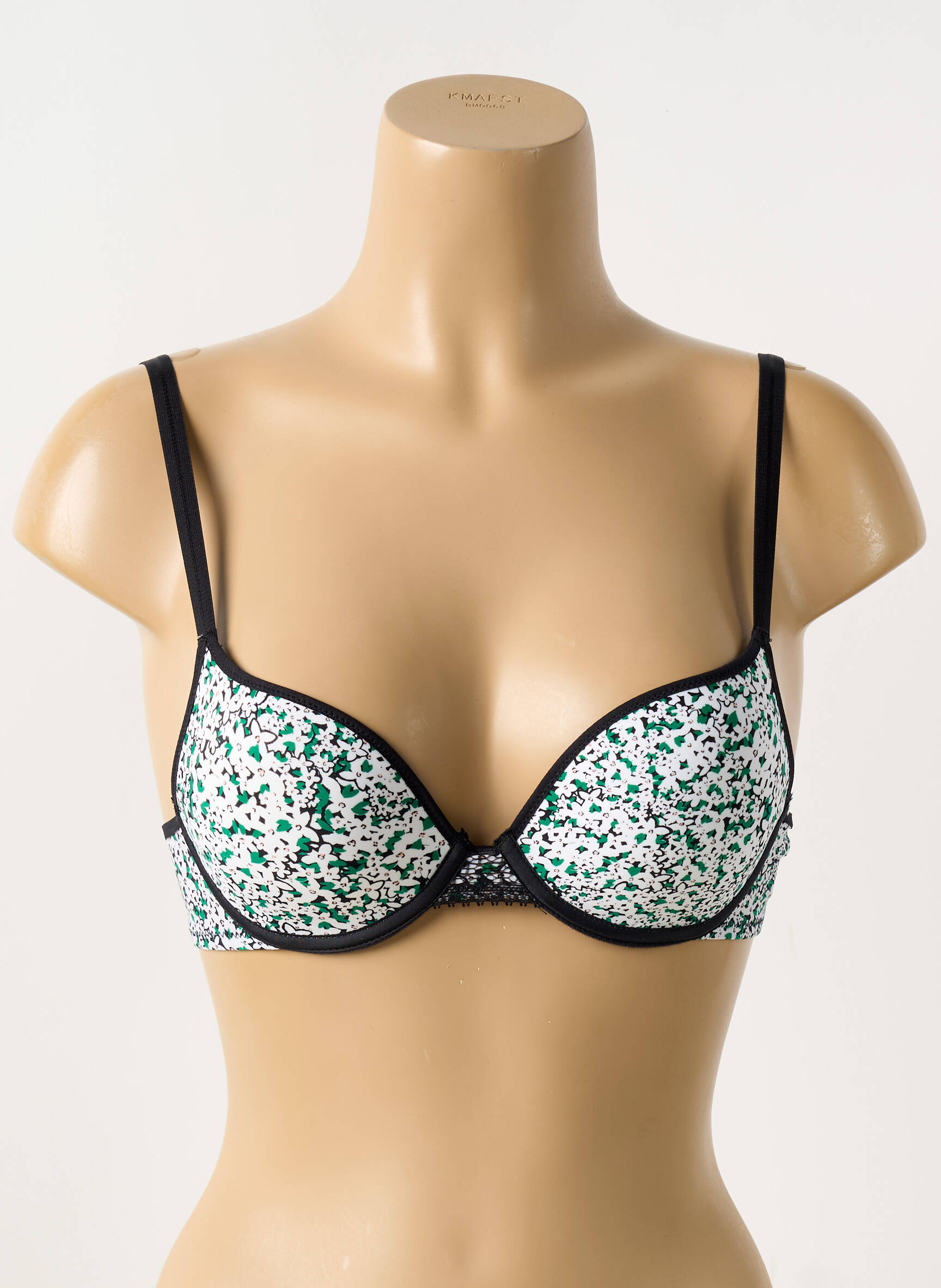 Liemenėlė push-up liemenėlė su aukštu palaikymu push-up liemenėlė su aukštu palaikymu žalias PASSIONATA moteris