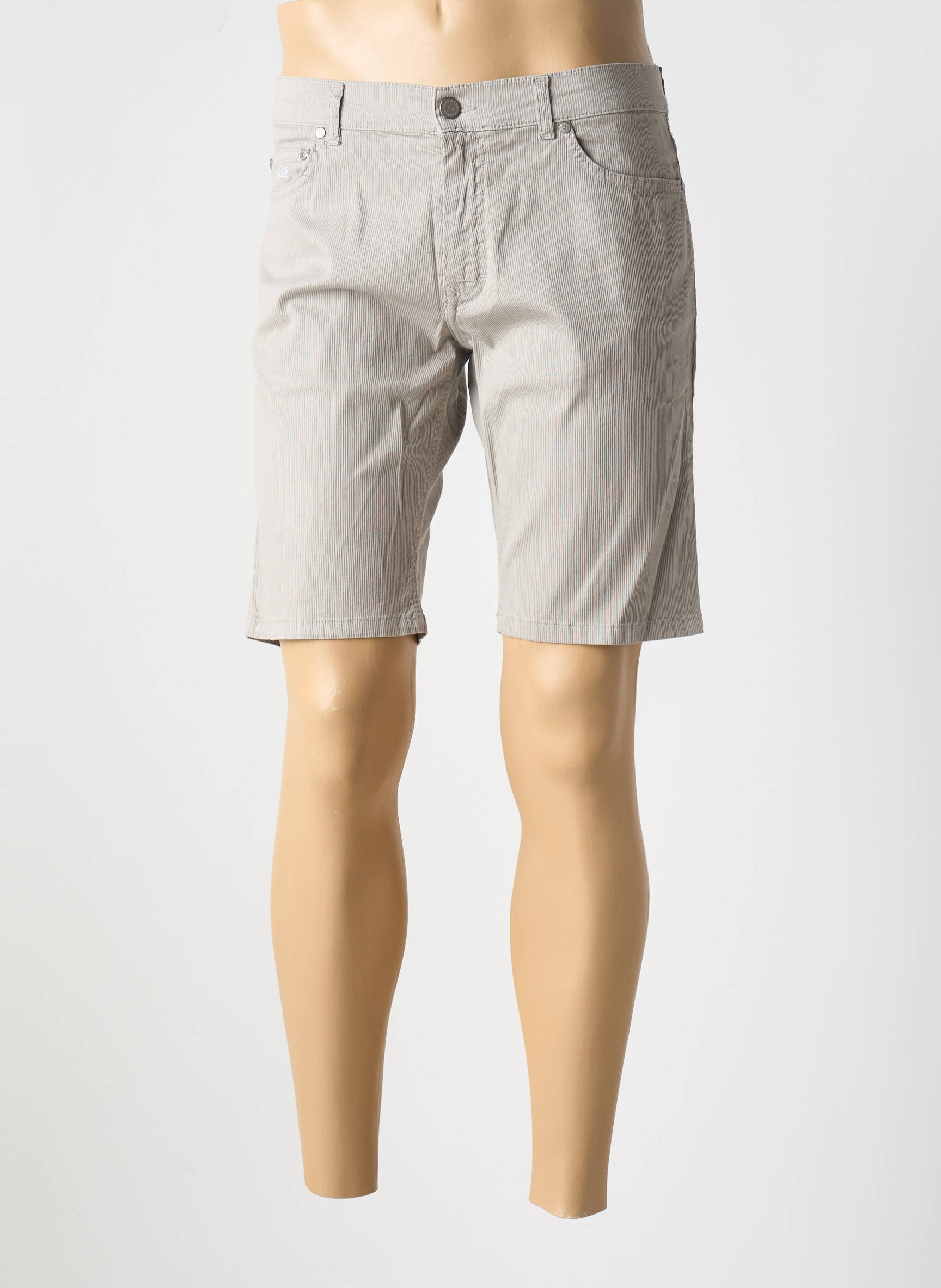 Bermudas kišenės normala dydis pilka HARMONT & BLAINE vyras