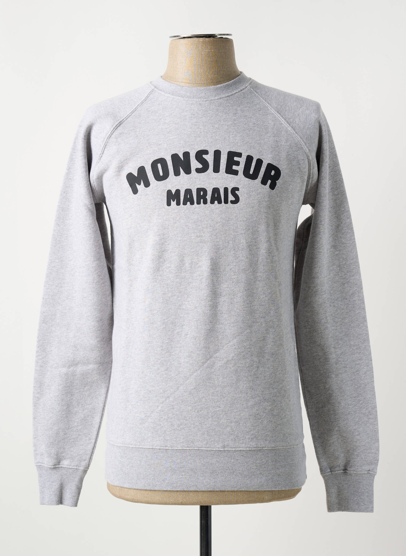 Mikroskopas floqué serigrafija ilgos rankovės pilka FRENCH DISORDER vyras