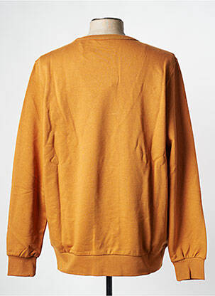 Mikroskopas rudas KNOWLEDGE COTTON APPAREL vyras
