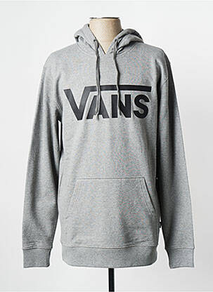 Mikroskopas pilka VANS vyras