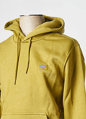 Kapišonas apvalus kaklas žalias DICKIES vyras