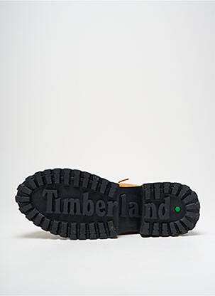 Batai/botai rudas TIMBERLAND moteris