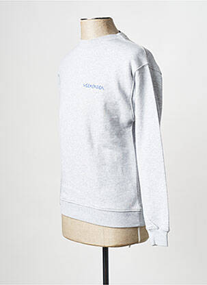 Mikroskopas pilka MAISON LABICHE vyras