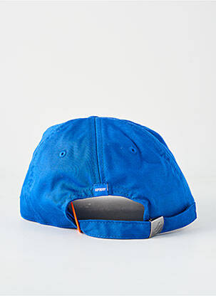 Kepuraitė mėlyna SUPERDRY vyras