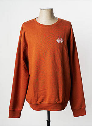 Mikroskopas oranžinė DICKIES vyras