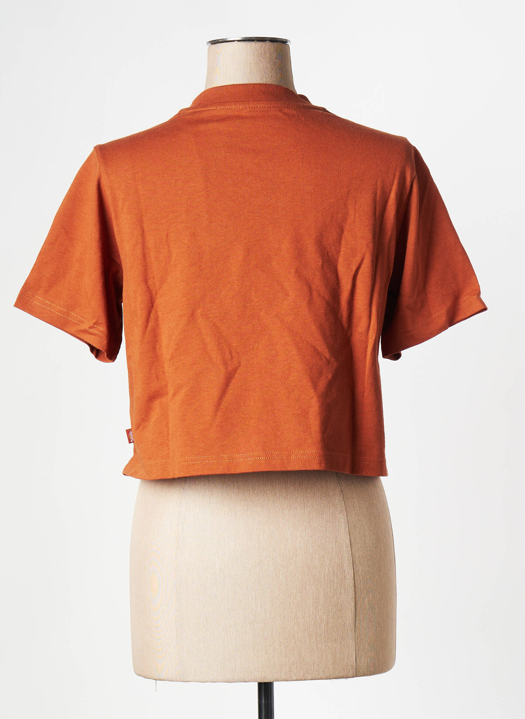 T-marškinys oranžinė DICKIES moteris
