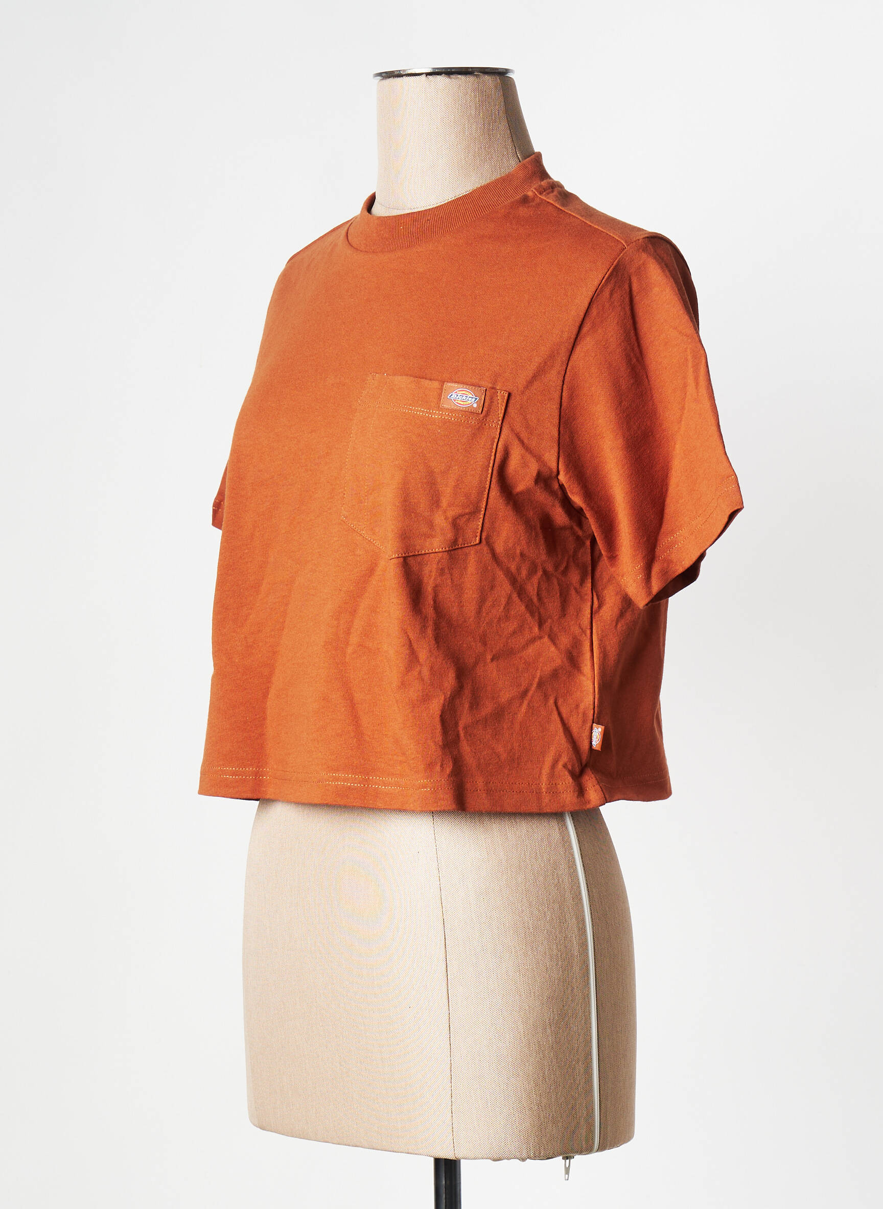 T-marškinys oranžinė DICKIES moteris