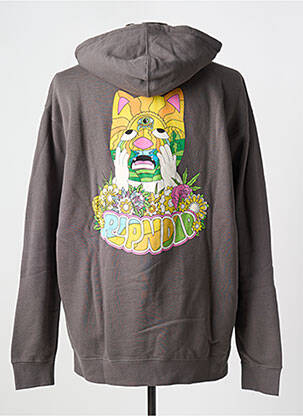 Mikroskopas pilka RIPNDIP vyras