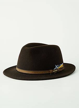 Skrybėlė rudas STETSON vyras