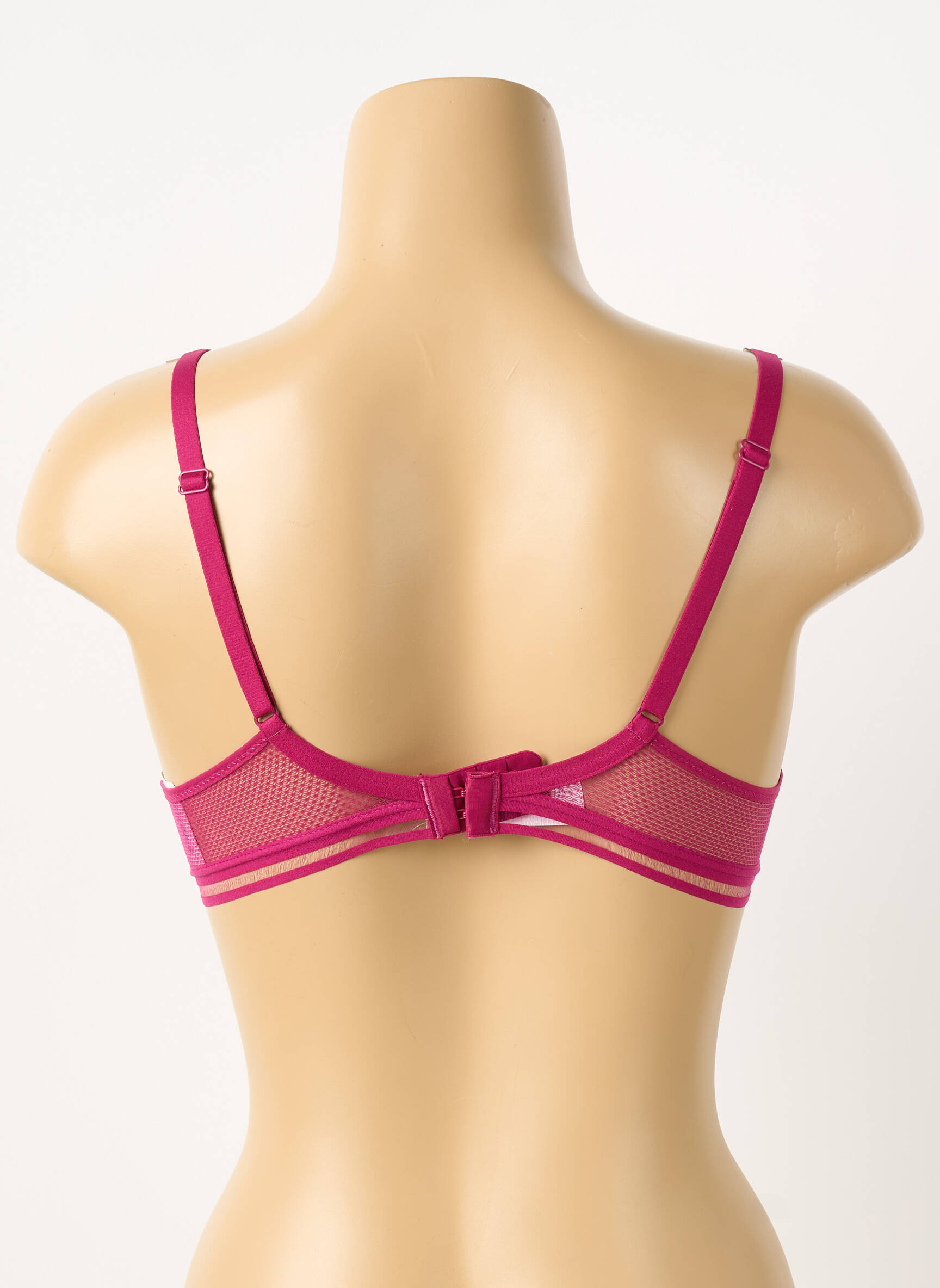 Liemenėlė push-up liemenėlė su aukštu palaikymu push-up liemenėlė su aukštu palaikymu rožinė PASSIONATA moteris