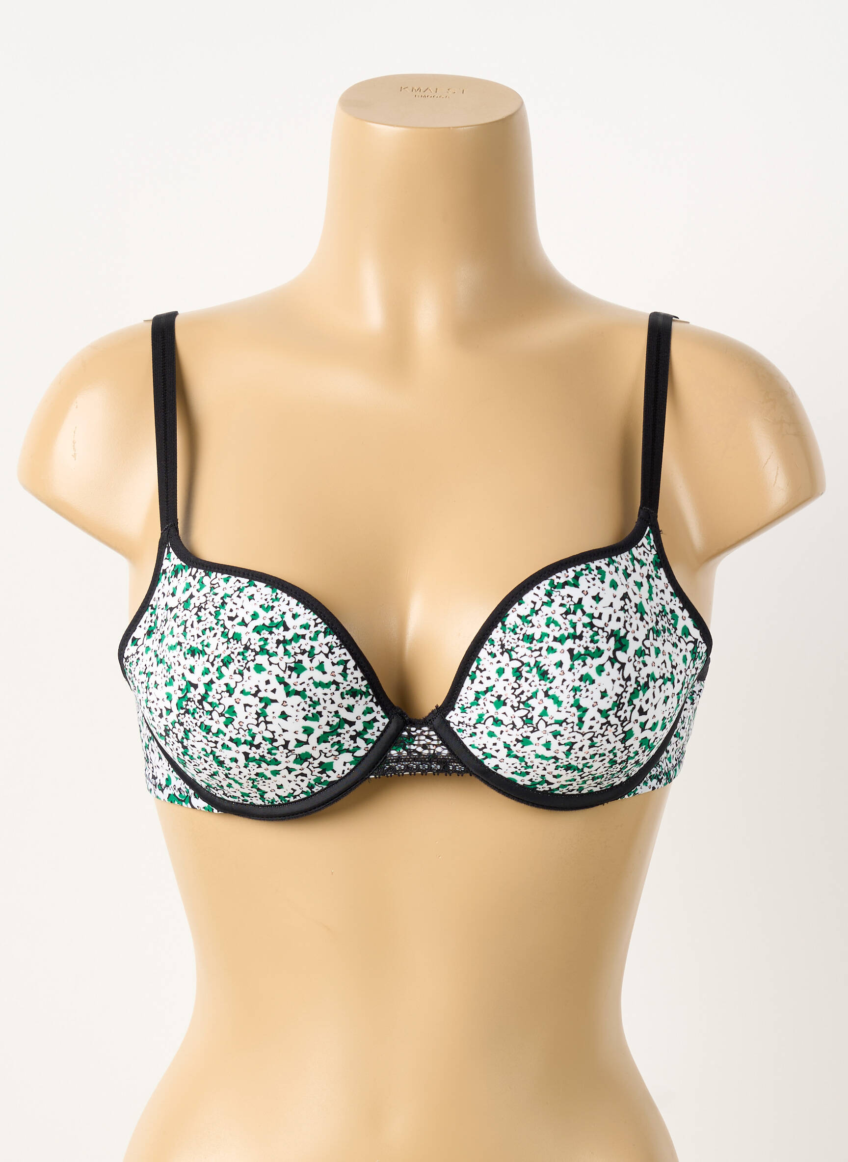 Liemenėlė push-up liemenėlė su aukštu palaikymu push-up liemenėlė su aukštu palaikymu žalias PASSIONATA moteris