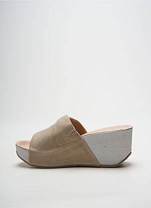 Mule/sabotai atvira pabaiga kulnas nuo 7 iki 9 cm sidabrinė ANDREA CONTI moteris