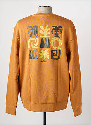 Mikroskopas floqué serigrafija ilgos rankovės rudas QUIKSILVER vyras
