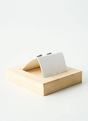 Auskarai sidabrinė TATA GISELE moteris