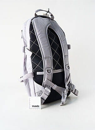 Kuprinė kišenės pilka EASTPAK vyras