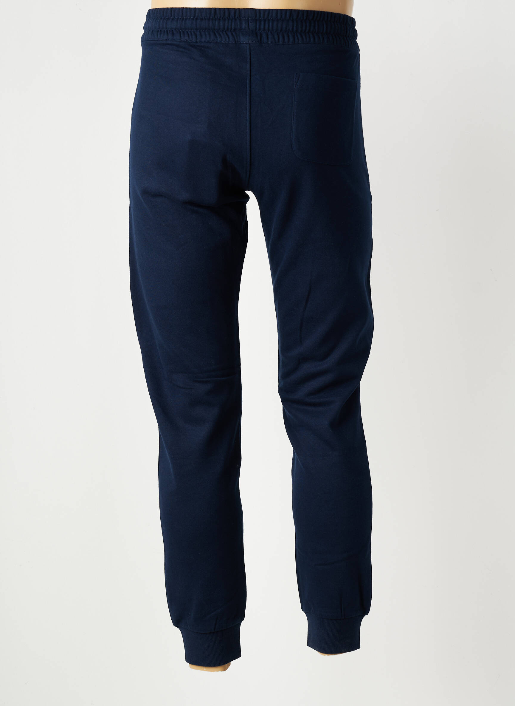 Joggins floqué serigrafija normala dydis mėlyna U.S. POLO ASSN vyras