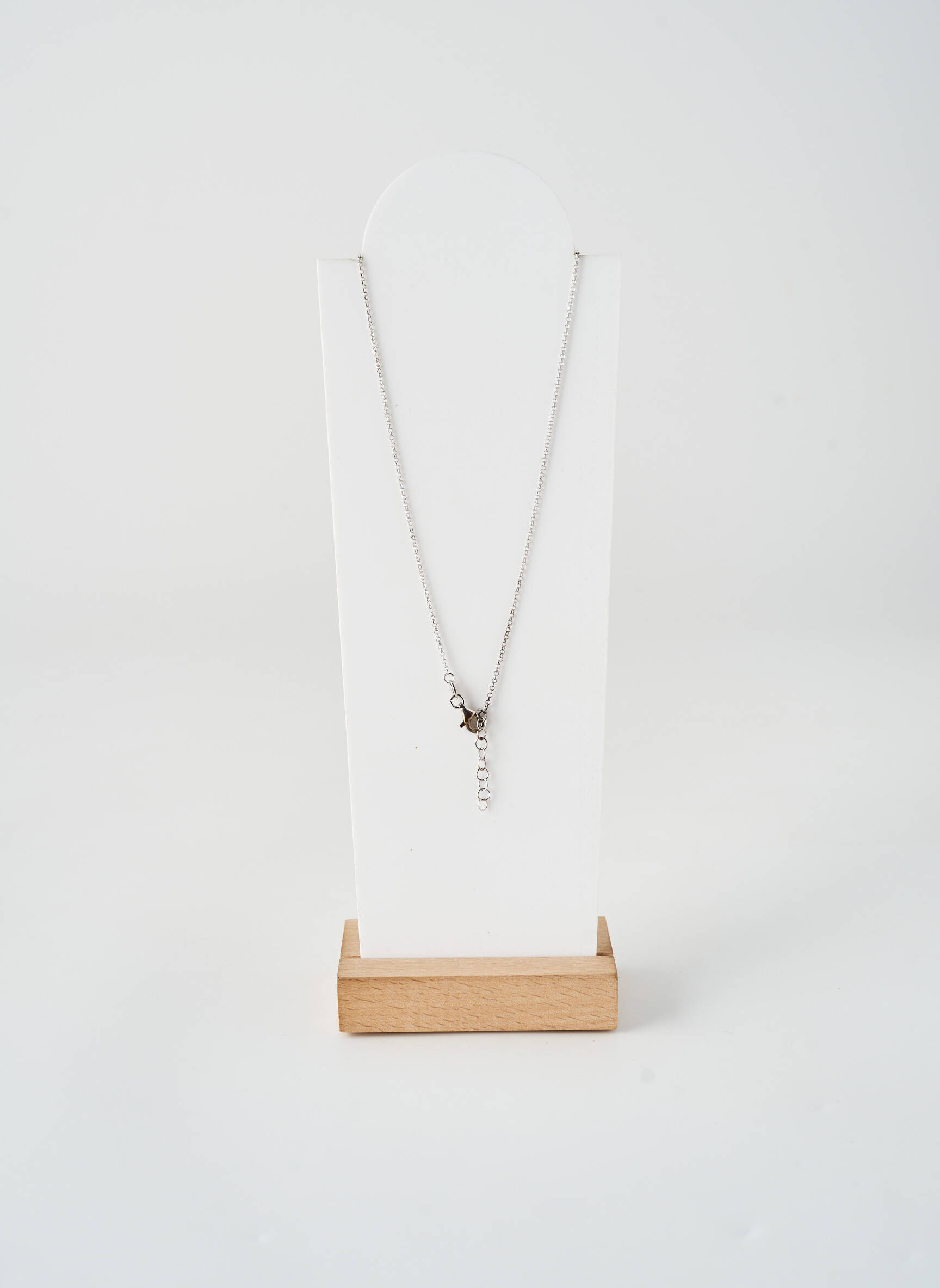 Kaklaraištis sidabro medžiagos sidabrinė ROBBEZ MASSON moteris