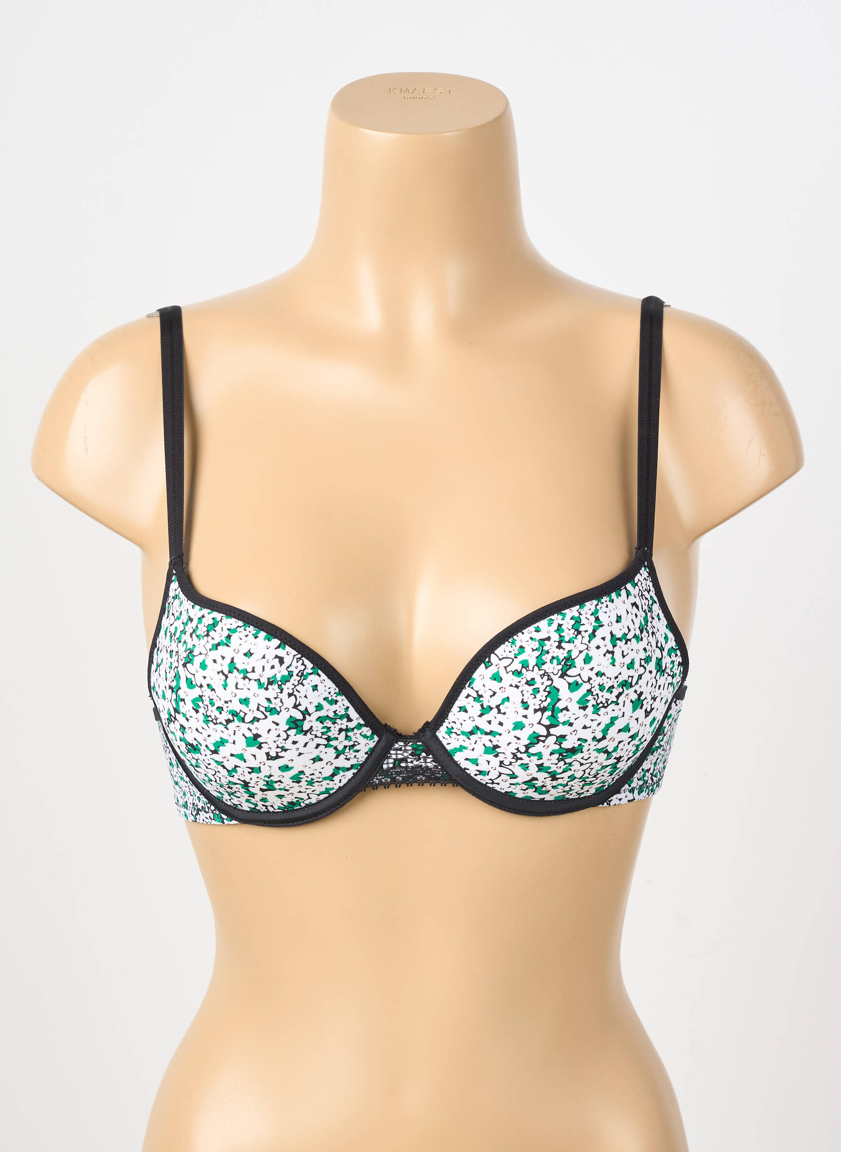 Liemenėlė push-up liemenėlė su aukštu palaikymu push-up liemenėlė su aukštu palaikymu žalias PASSIONATA moteris