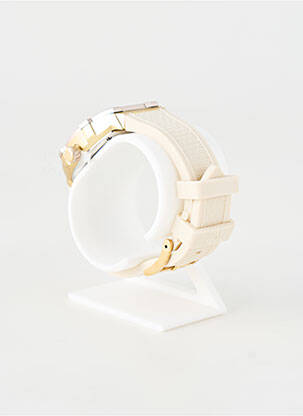 Laikrodis užsegimas kilpa(s) bežinis ICE WATCH moteris