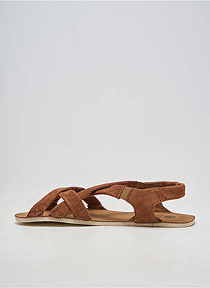 Sandalai/nu pėdos lygus medžiaga plokščias kulnas iki 3 cm rudas ZAPATO FEROZ moteris