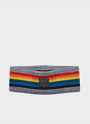 Plaukų aksesuaras pilka SUPERDRY moteris