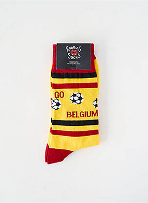 Kojinės geltona ROARING SOCKS vyras