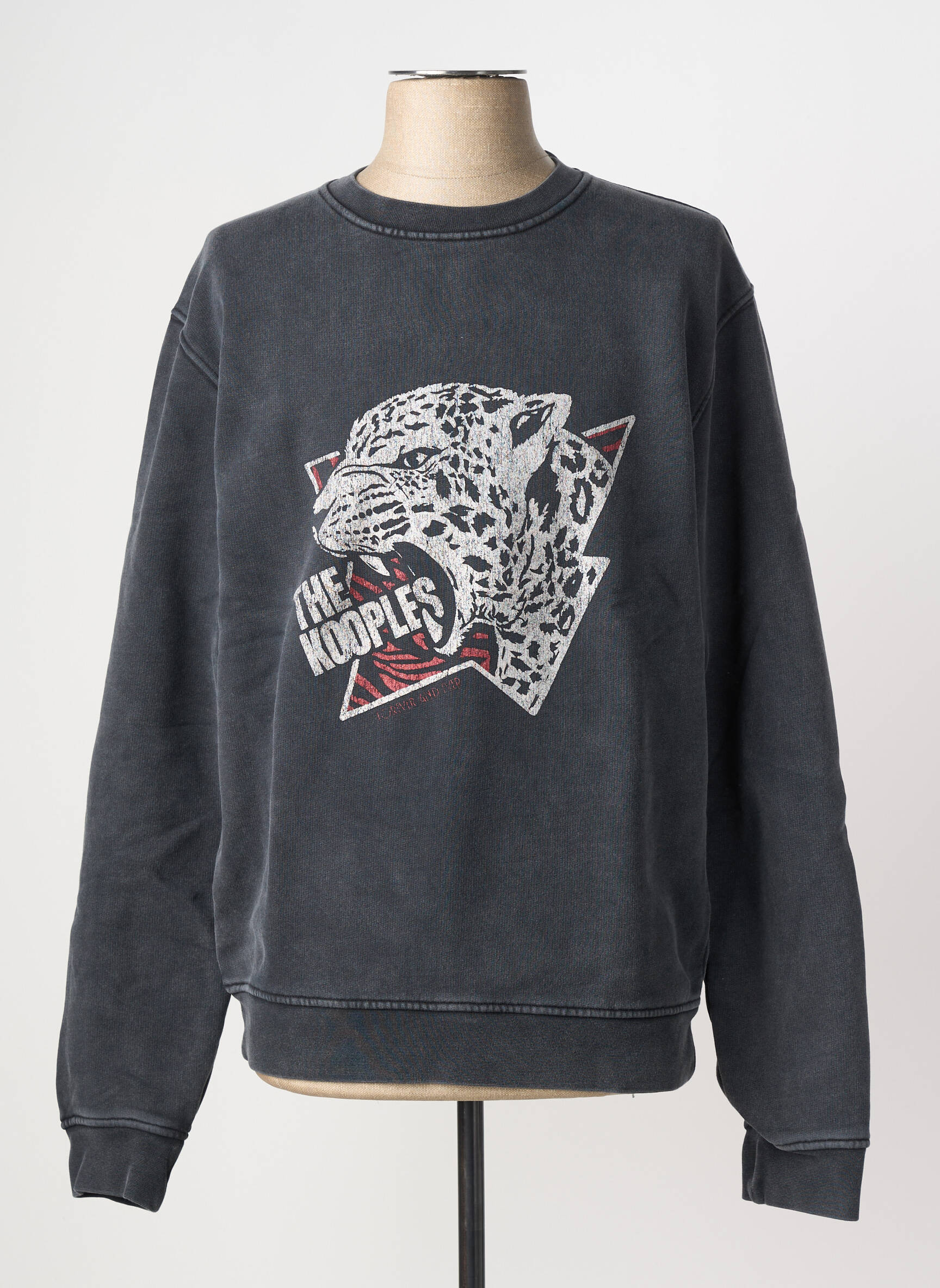 Mikroskopas pilka THE KOOPLES vyras