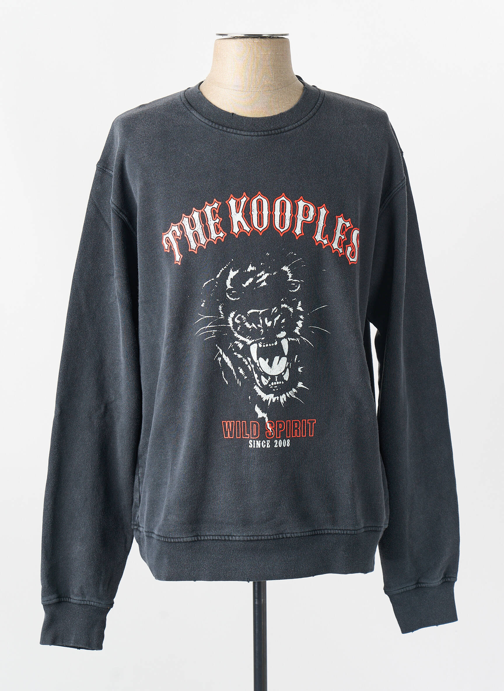 Mikroskopas pilka THE KOOPLES vyras